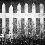 White Picket Fence
