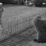 Neighbors