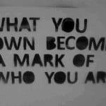 What you own