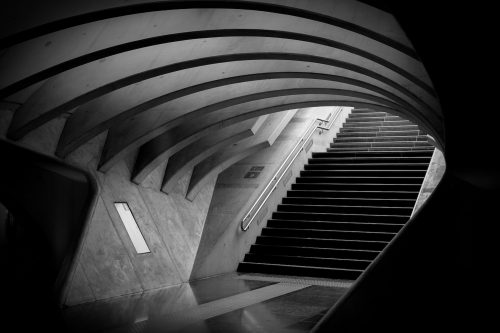 Photo by Tim Allen