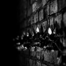 Photo by Matthieu Comoy