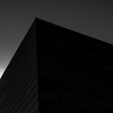 Photo by Carl Cerstrand