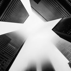 Photo by Matthew Henry