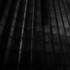 Photo by Samuel Scalzo