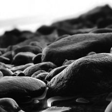 Photo by Aditya Chinchure