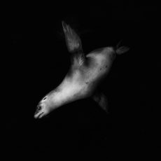 Photo by Alexandra Rose