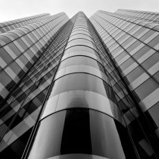 Photo by Daniel Kist