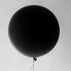 Photo by Sarah Pflug