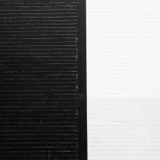 Photo by Sarah Pflug