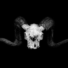blake-weyland-o4Biw__r7Is-unsplash-2