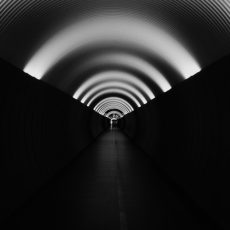 Photo by Carl Nenzen Loven