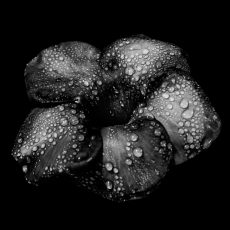 Photo by Carlos Alberto Gómez Iñiguez