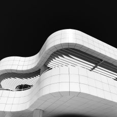 Photo by Damon Lam