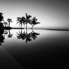 Photo by Daniel McCullough