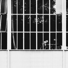 Photo by Daniel Von Appen
