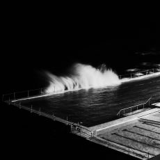 Photo by David Di Veroli
