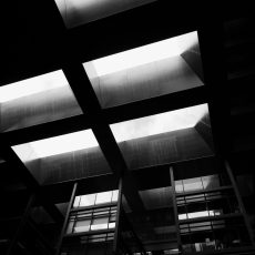 Photo by Elijah Flores