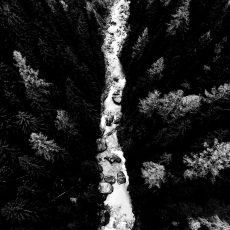 Photo by Joao Branco