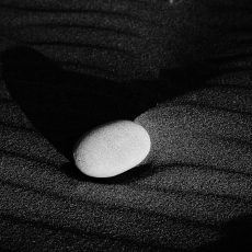Photo by John Doyle