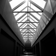 Photo by Kaleb Nimz