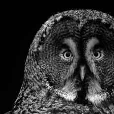 Photo by Kevin Mueller