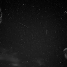 Photo by Luca Bravo