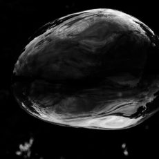 Photo by Marc Sendra Martorell
