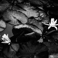 Photo by María Fernanda Gutiérrez