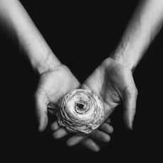 Photo by Matthew Henry