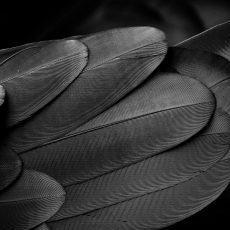 Photo by photostockeditor