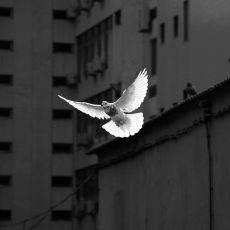 Photo by Sunyu