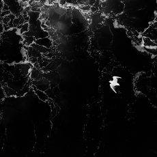 Photo by Thanos Pal