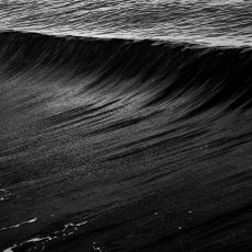Photo by Tim Mossholder