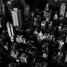 Photo by Timo Wagner