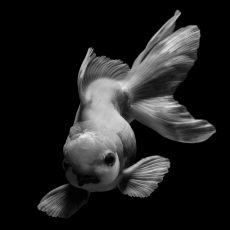Photo by zhengtao tang