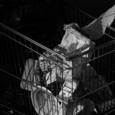 Photo by Natasa Grabovac