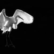 Photo by David Clode