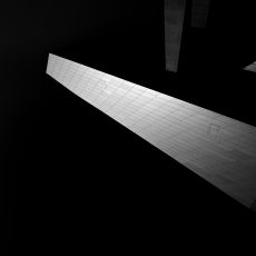 Photo by David Werbrouck