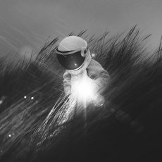 Photo by Joshua Earle