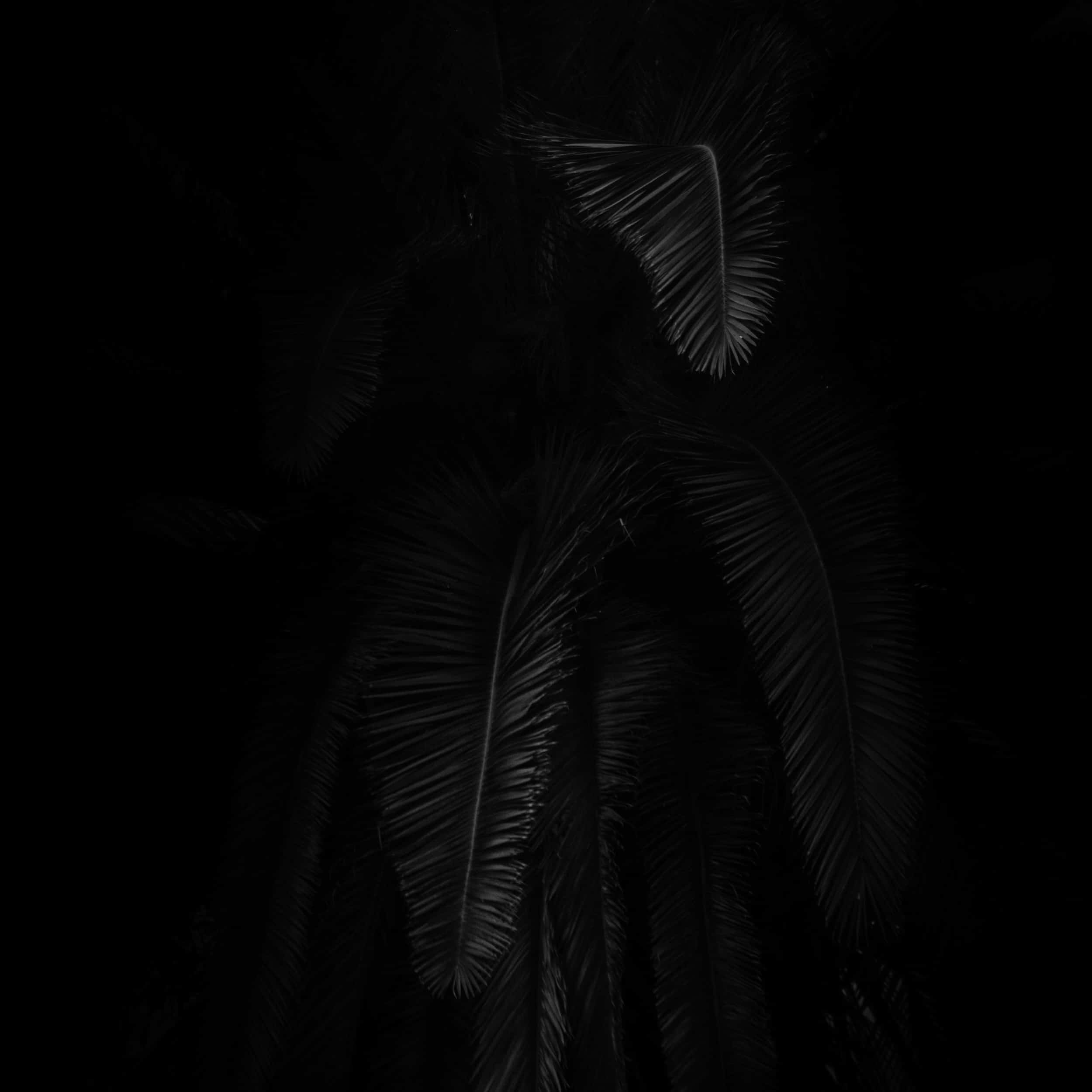 Photo by Jordan Moore, design by SPYR