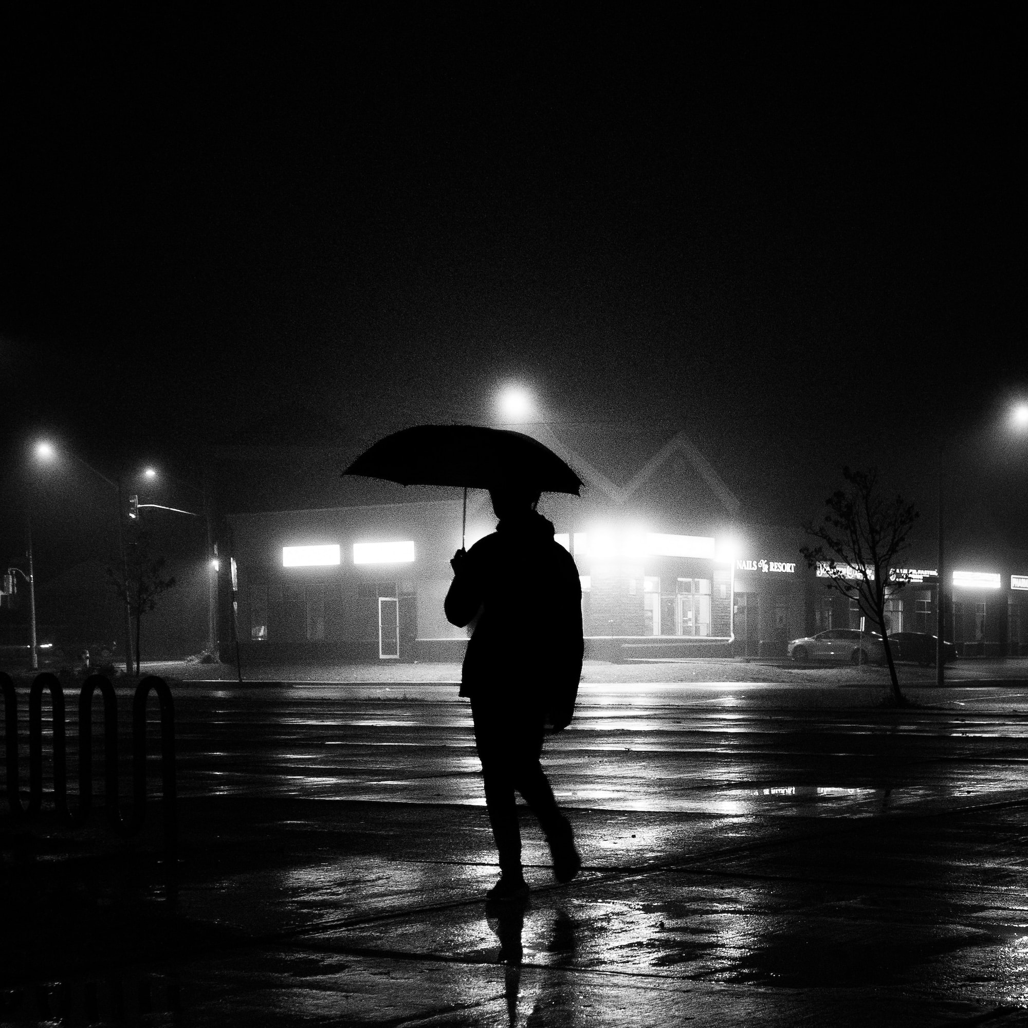 Photo by Mohammad Alizade