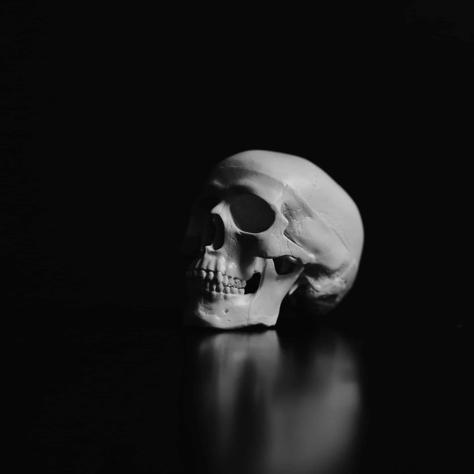 Photo by Payton Tuttle